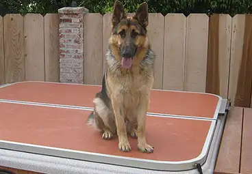 These covers are strong enough to hold a dog.